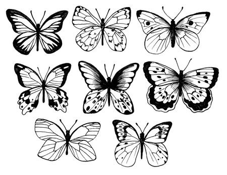 Butterflies. Vintage elegant black ink set. Delicate print design.の写真素材