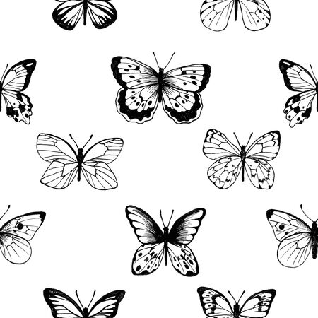 Butterflies. Vintage elegant black ink pattern. Delicate print design.の写真素材