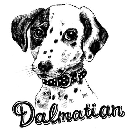 Portrait of a puppy. Dalmatian lettering. Ink drawing effect. Vector graphics.の写真素材