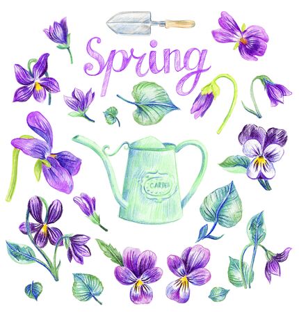 Garden set design. Purple violets. Watering can. Shovel. Isolated elements on a white background.の写真素材
