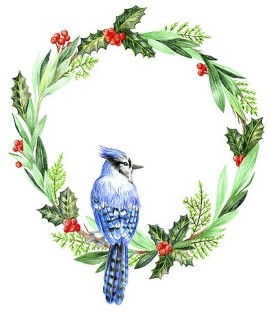 Christmas wreath blue jay on a branch. Holly and thuja.の写真素材