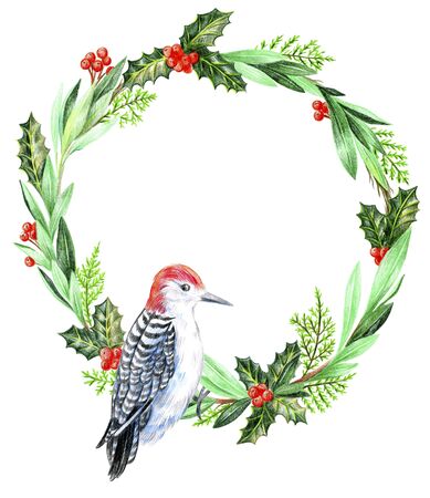 Christmas wreath woodpecker bird on a branch. Holly and thuja.の写真素材