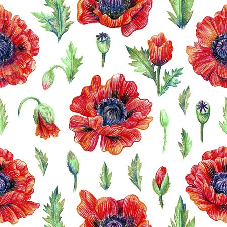 Bright romantic seamless pattern with poppy flowers. Red colors.の写真素材