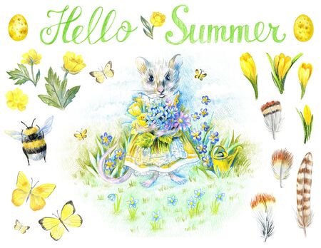 A mouse in a yellow Victorian dress holds a bouquet of garden flowers. Set of elements with feathers, easter eggs, bumblebee, butterflies, crocuses.の写真素材