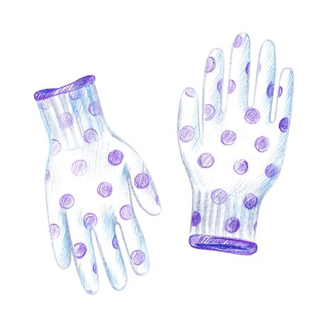 Gloves for gardening with a polka dot pattern. Pencil sketch.の写真素材