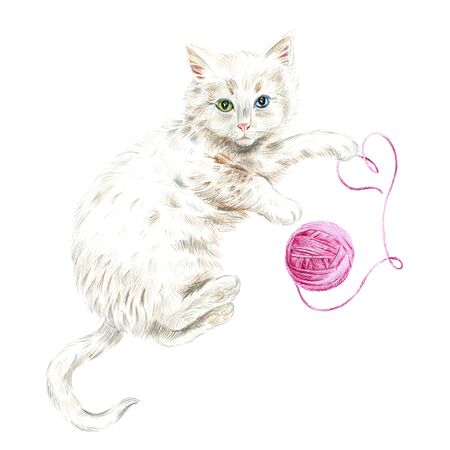 White fluffy cat plays with a pink ball of thread. Isolated on a white background. Pencil sketch.の写真素材