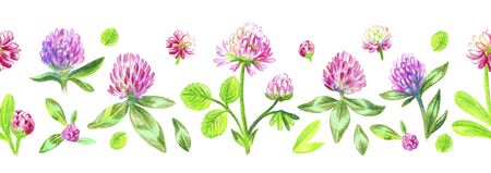Seamless border design. Clover meadow flowers. Isolated on a white background. Color pencils sketch.の写真素材