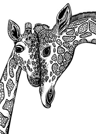 Vector graphic illustration with two giraffes in loveのイラスト素材