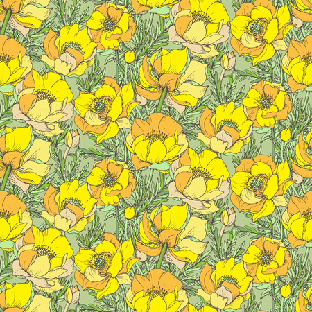 Vector seamless pattern with graphic spring flowers (trollius).のイラスト素材