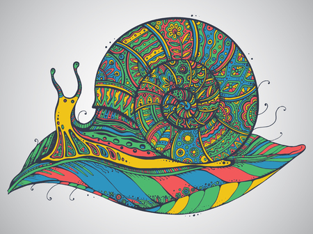 Vector illustration of the ornamental snail with a lot of details and colorsのイラスト素材