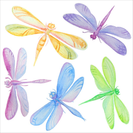 Vector set of beautiful hand drawn watercolor dragonflies.のイラスト素材