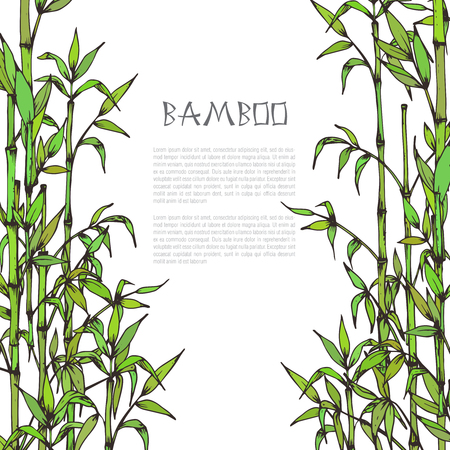 Vector framewith hand drawn bamboo branches on white background and place for your textのイラスト素材