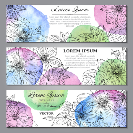 Set of three horizontal banners with beautiful clematis flowers and watercolor texture. Vector floral headersのイラスト素材