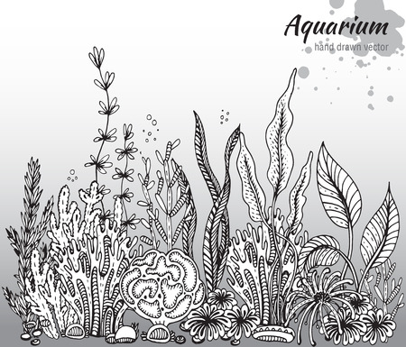 Vector monochrome hand drawn illustration with aquarium algae, corals. Underwater world. Black and white hand drawn illustrationのイラスト素材