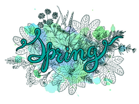 Hand lettering word Spring with hand drawn herbs and flowers and watercolor texture. Graphic vector illustration. Handmade calligraphyのイラスト素材