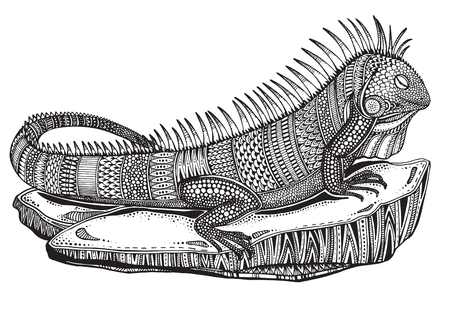 Hand drawn graphic ornate iguana on a stone with ethnic doodle pattern.Vector illustration for coloring book, tattoo, print on t-shirt, bag. Isolated on a white background.のイラスト素材