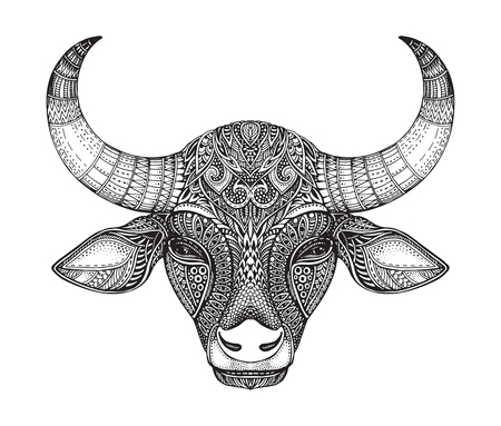 Patterned head of the bull.のイラスト素材