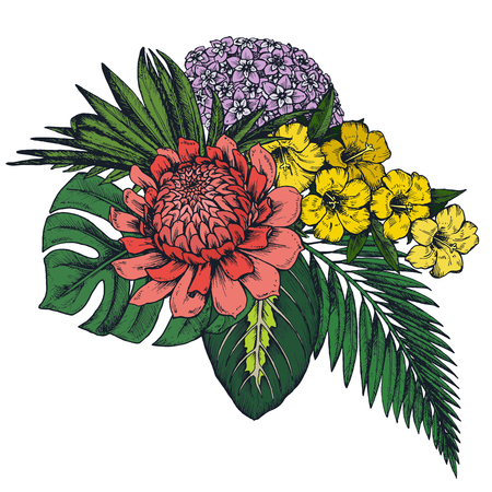 Vector composition of hand drawn colorful tropical flowers, palm leaves, jungle plants, paradise bouquet. Beautiful floral illustration isolated on white backgroundのイラスト素材