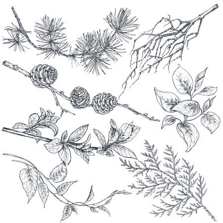 Set of hand drawn ink sketch spring branchesのイラスト素材