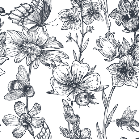 Vector seamless pattern with hand drawn chamomile, wildflowers, herbs, butterflies, beeのイラスト素材