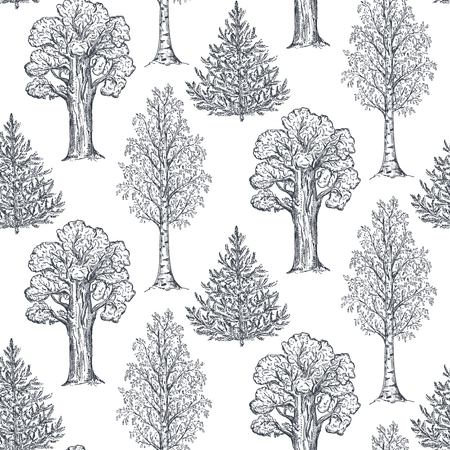 Vector seamless pattern with hand drawn trees in sketch style. Fir, birch, oak. Black and white forest endless background. Ink pen drawing.のイラスト素材