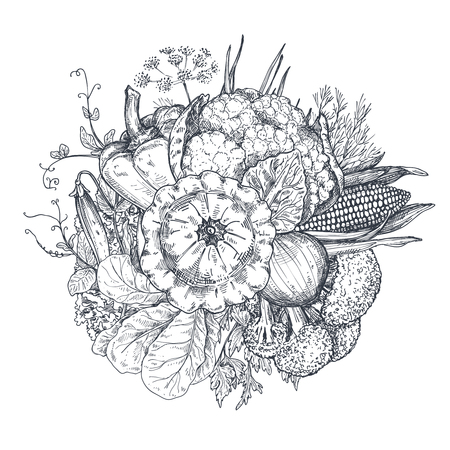 Vector illustration of hand drawn vector farm vegetables in sketch style. Beautiful organic bouquet composition. Broccoli, onion, cabbage, pepper, pumpkin, corn. Graphic vegetarian objects for restaurant menu, grocery marketのイラスト素材