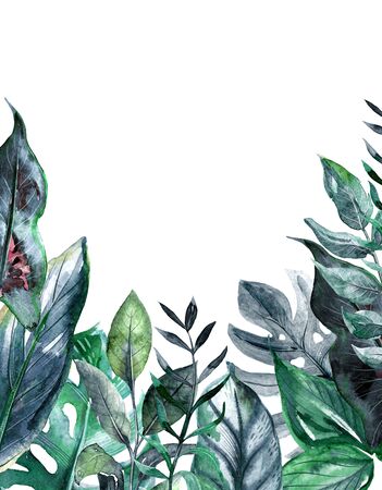 Beautiful frame with hand drawn watercolor tropical leaves and plants. Template for greeting card, invitationの写真素材