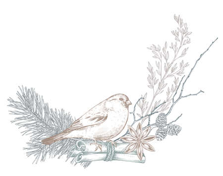 Vector template for Christmas greeting card or invitation with hand drawn winter plants, pine cones, bird.のイラスト素材