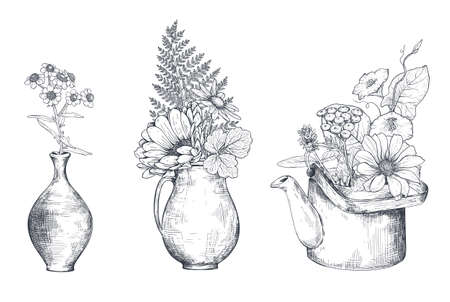 Vector floral compositions with black and white hand drawn herbs and wildflowersのイラスト素材