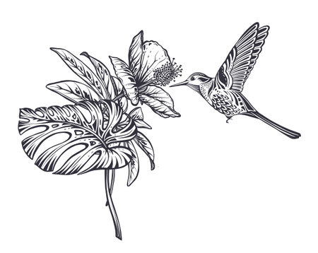 Vector composition with tropical flowers, hummingbird, jungle palm, exotic leaves.のイラスト素材