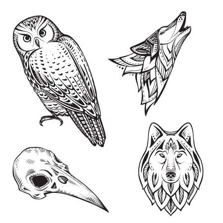 Set of vector illustrations of black and white animals and bird skull isolated on white background.のイラスト素材