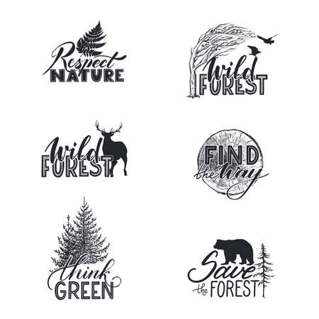 Collection of handwritten vector phrases about the conservation and protection of nature and forestのイラスト素材