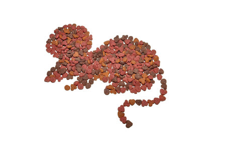 Figure mouse made of dry food for catsの写真素材