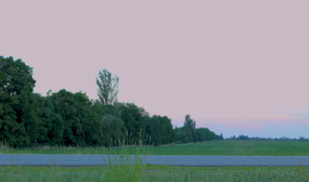 Side view of Caucasian young countryman carrying shovel on shoulder while walking in farmland in evening. Male farmer in hat walks in farm after work on field. Farming business, agriculture conceptの写真素材