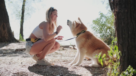 Happy young woman training her dog, akita-inu breed, outdoors, in a park