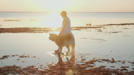 Little boy walking with a dog on the water at sunset