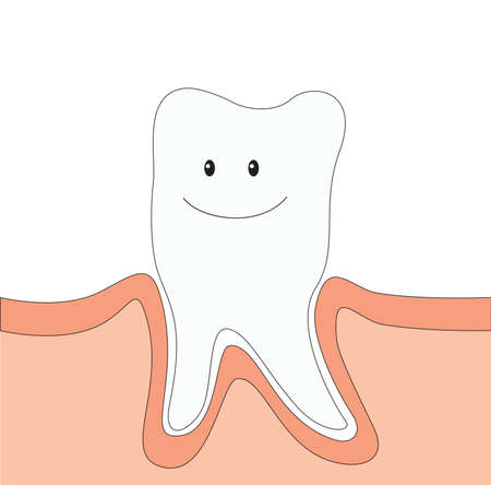 illustration of cute toothのイラスト素材