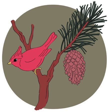 Vector illustration of cardinal on a branchのイラスト素材