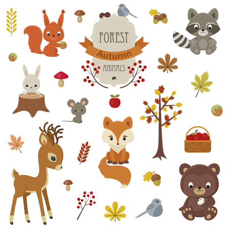 Woodland animals in autumn time. Raccoon, bunny, squirrel, fox, bird, raindeer, mouse and bear. Fall leaves, mushrooms and figments.のイラスト素材