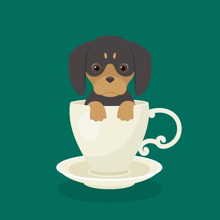 Dachshund puppy sitting in white cup. Vector art.のイラスト素材
