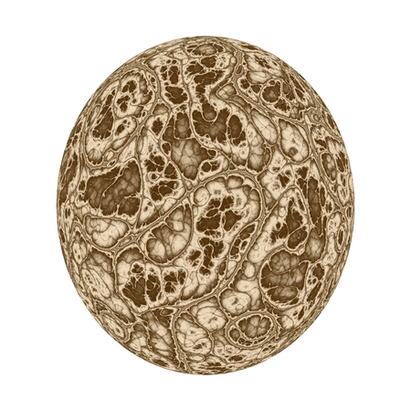 Digitally generated dinosaur egg with the convoluted surface texture isolated on white background.の写真素材