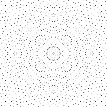 Dots art black and white mandala. Digitally generated bw mandala consisted of many black elliptic dots on white background.の写真素材