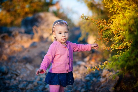 little girl in a pink jacket touch pen orange berries on the bush. autumn. a park.の写真素材