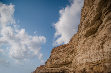 Birds flying over mountain. Blue cloudy sky and rock.の写真素材