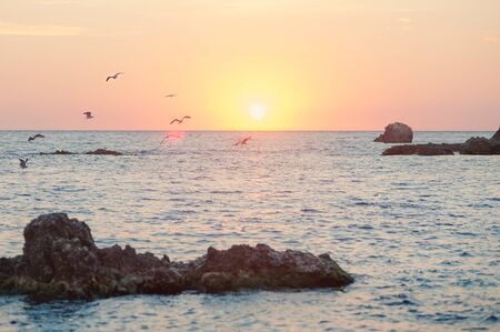 Seagull over the sea in the mountainsの写真素材