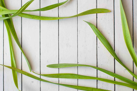 fresh long grass frame a rustic wooden background, making perfect copyspace for your textの写真素材