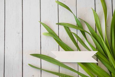 Spring grass background. Grass over wood. Nature background with grass and woodの写真素材