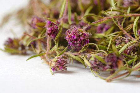 Dried thyme tea on a white background