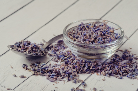 Lavender went into a white porcelain bowlの写真素材