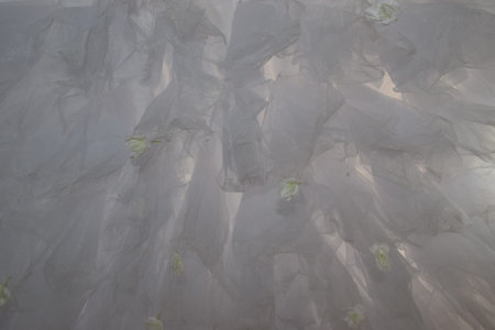 gray white background organza fabric with white flower for wedding decoration. High quality photo